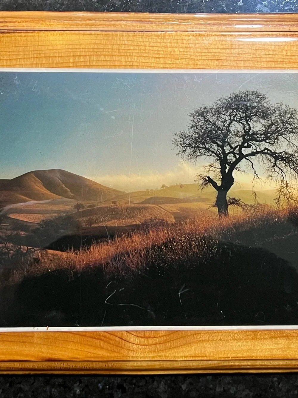 Wood Tone Framed Landscape Wall Art Set - Natural Brown